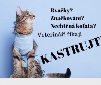 kastrace