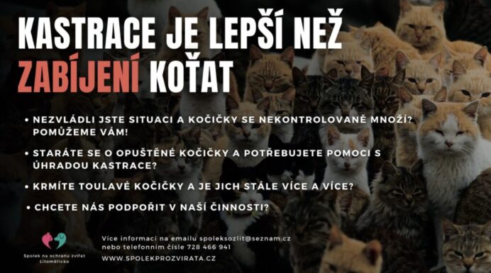 Kastrace plakát