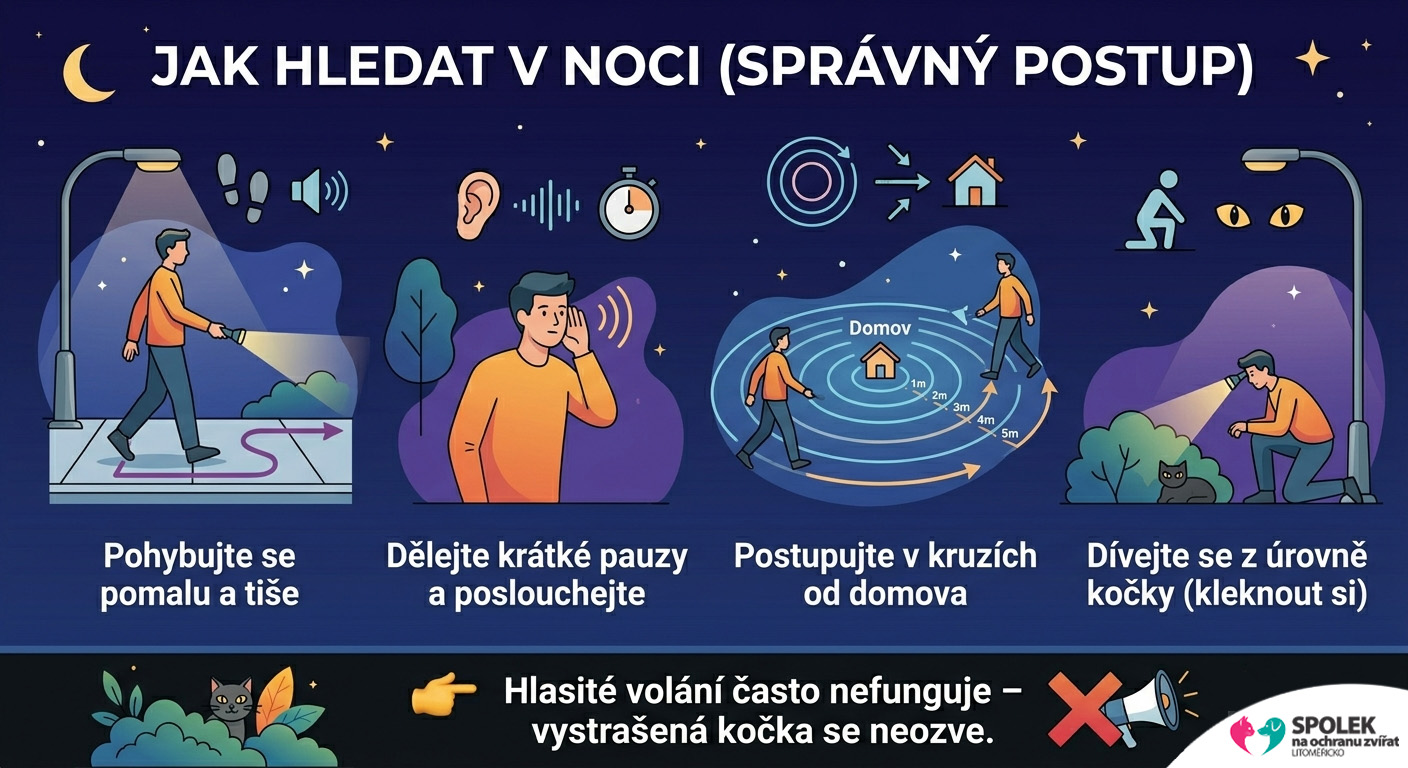 Ztracená kočka - hledat v noci