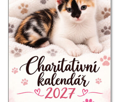 catpark-nastenny-kalendar-2027-00