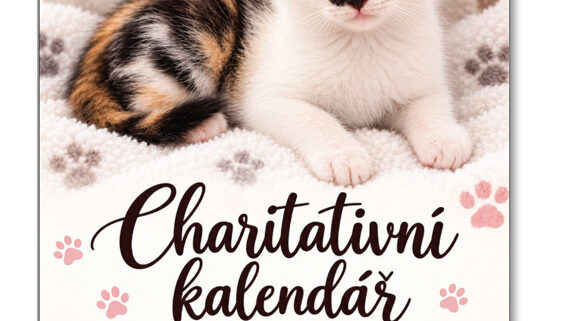 catpark-nastenny-kalendar-2027-00